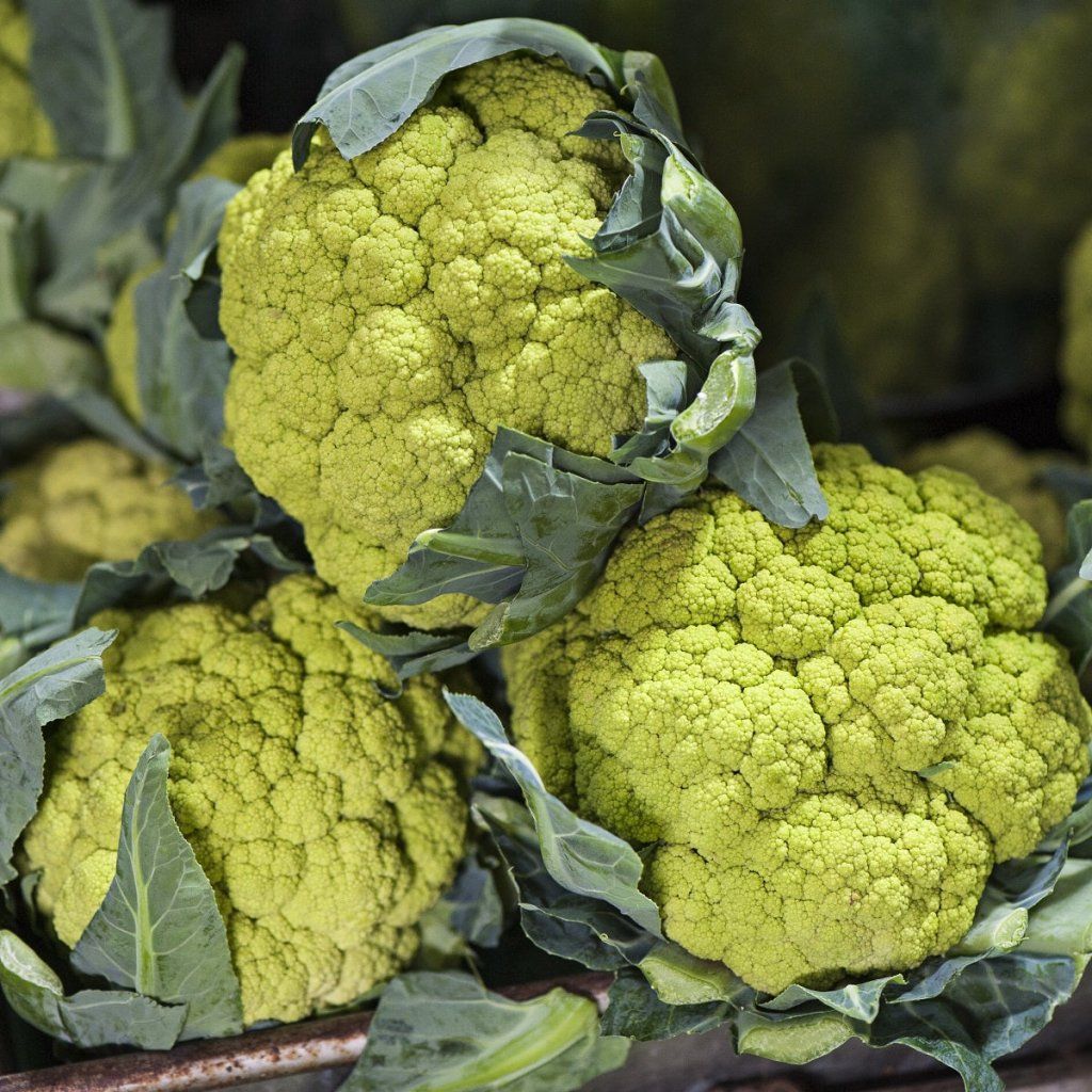 Cauliflower - Green Storm F1 seeds - Happy Valley Seeds