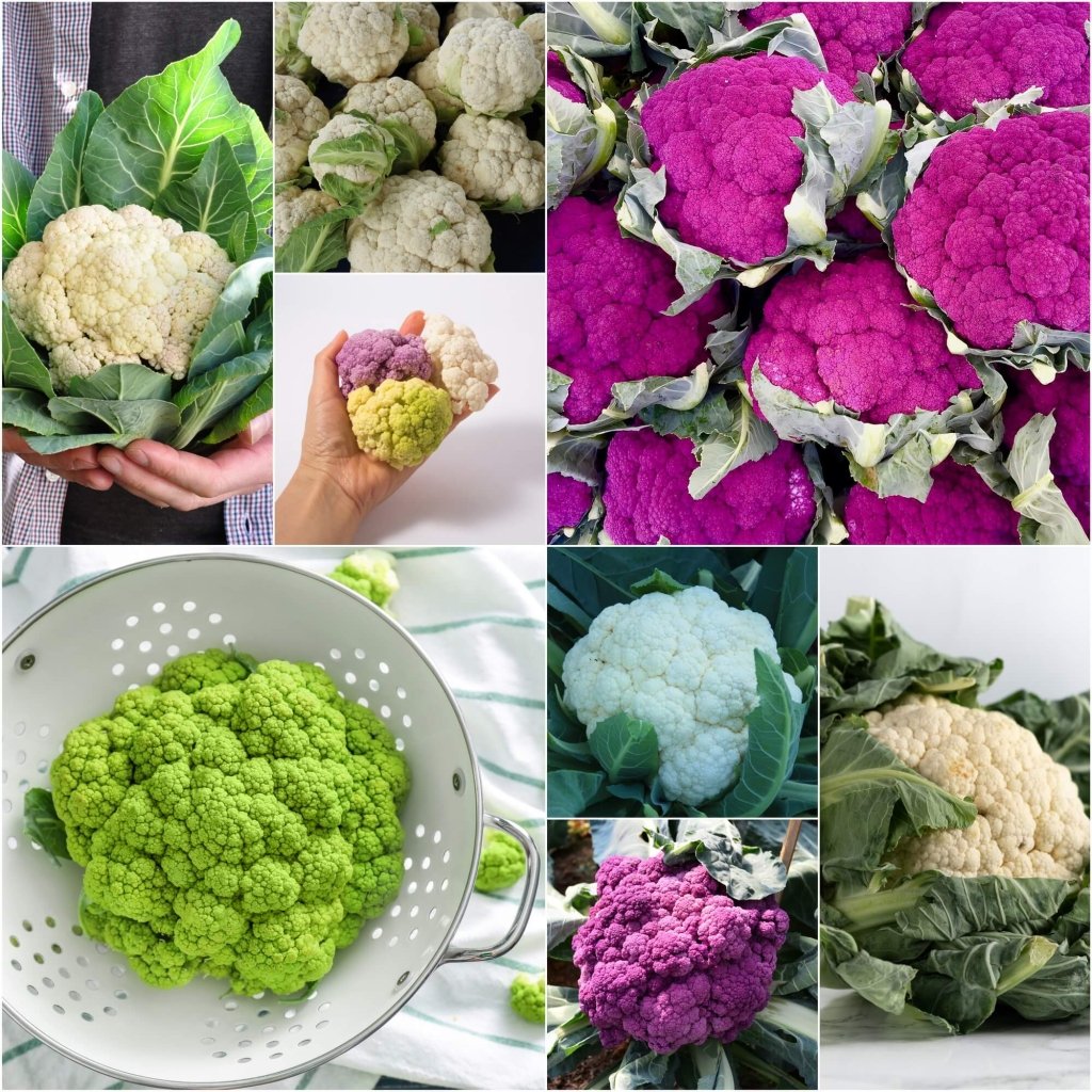 Cauliflower - Heirloom Mix seeds - Happy Valley Seeds