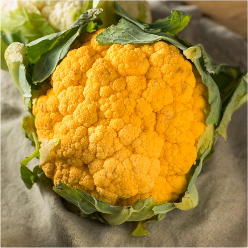 Cauliflower - Orange F1 seeds - Happy Valley Seeds