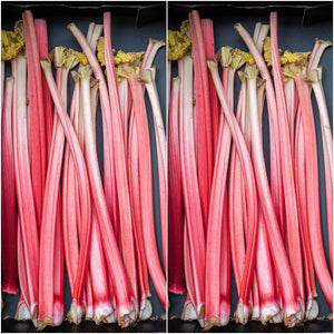 Celery - Red Stem seeds