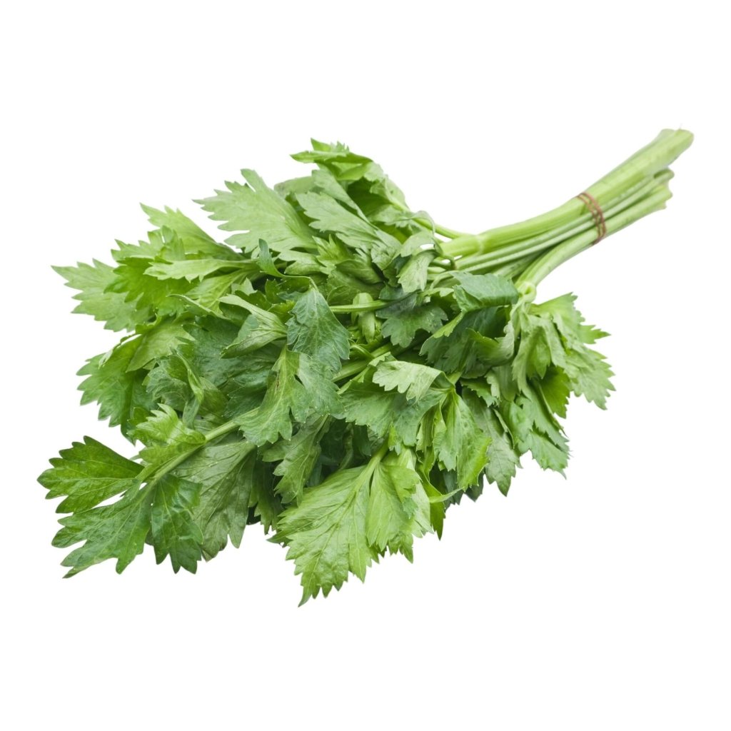 Celpar - Amsterdam (Leaf / Chinese Celery) seeds - Happy Valley Seeds