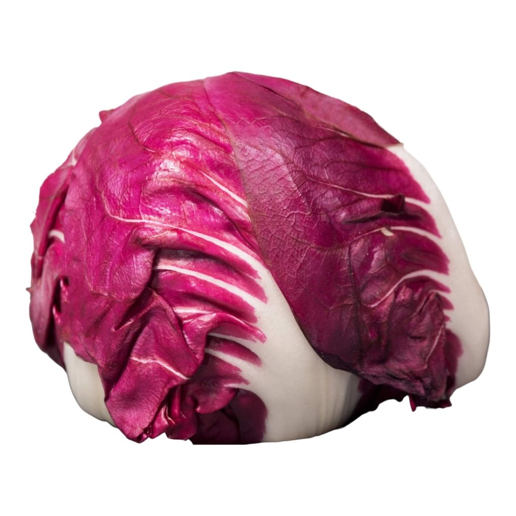 Chicory - Red Ball (Radicchio) seeds - Happy Valley Seeds