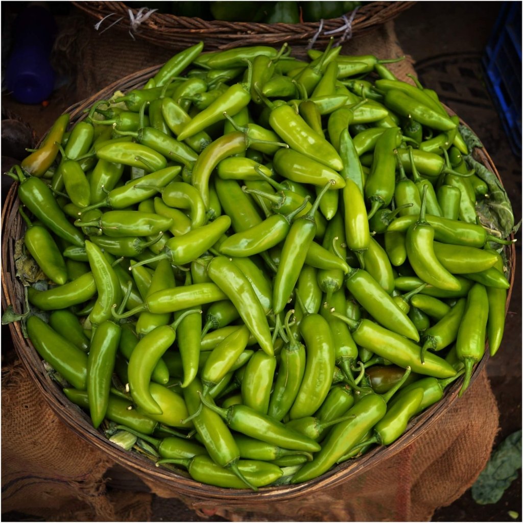 Chilli - Big Jim seeds - Happy Valley Seeds