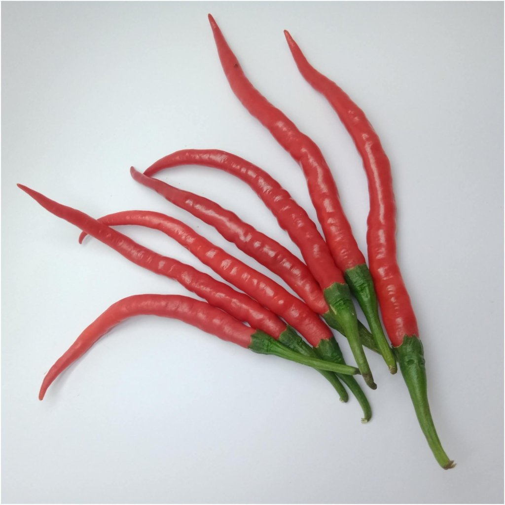 Chilli - Cayene Long Slim seeds - Happy Valley Seeds