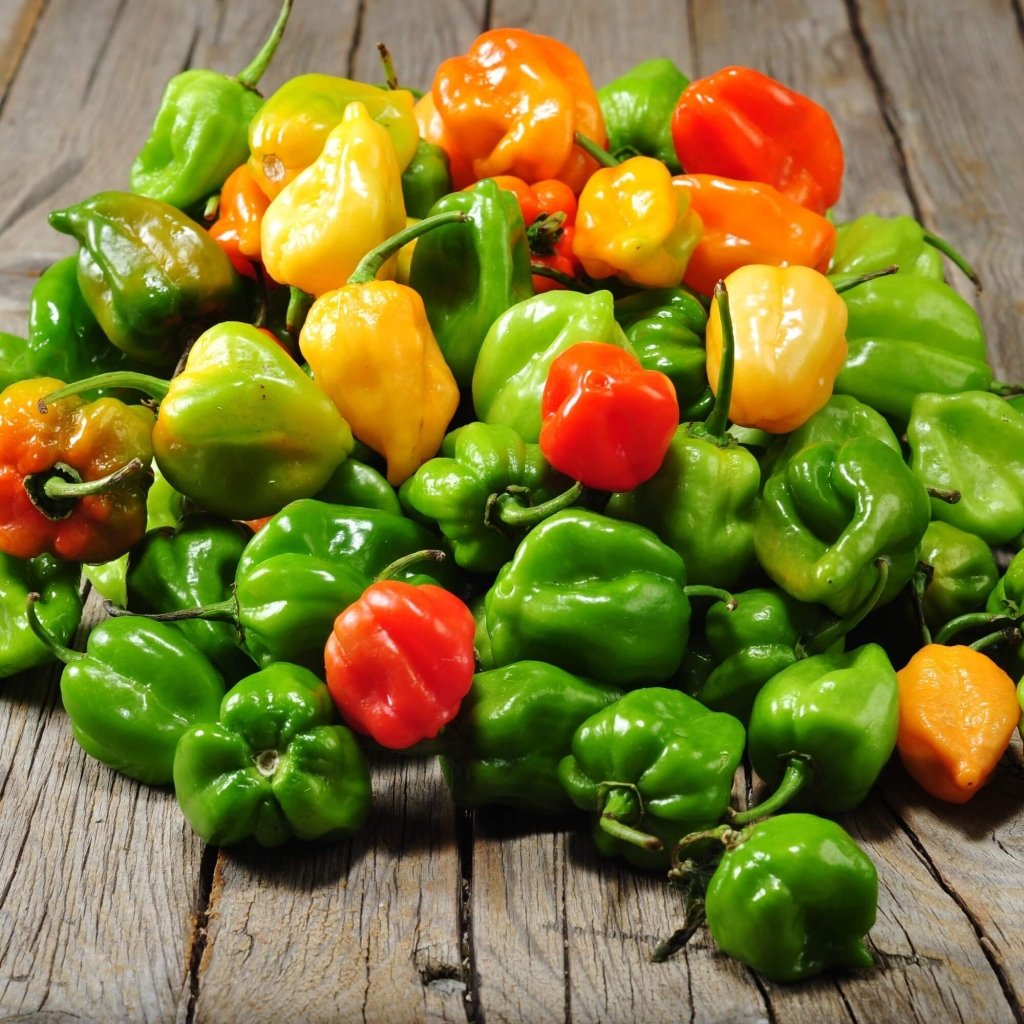 Chilli - Habanero Mixed seeds - Happy Valley Seeds