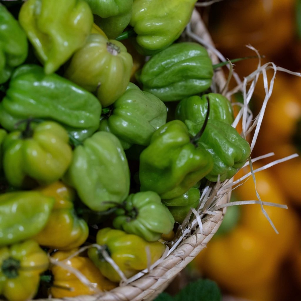 Chilli - Habanero XL Green seeds - Happy Valley Seeds