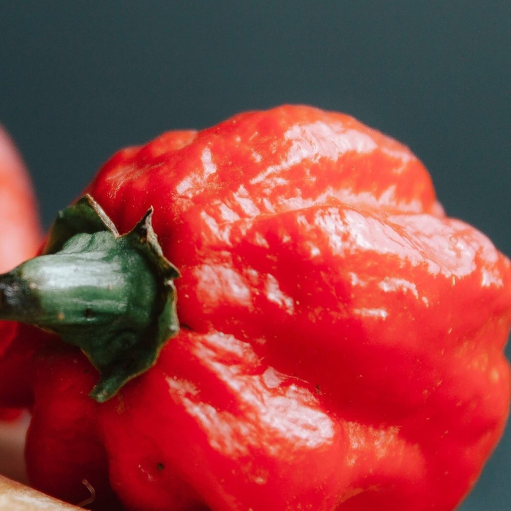 Chilli - Trinidad 7 Pod Brain Strain seeds - Happy Valley Seeds