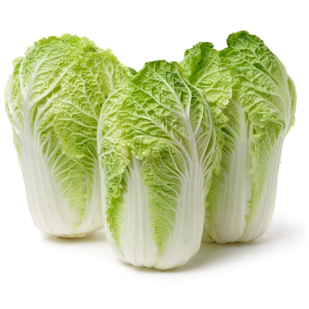 Chinese Cabbage - Little Dragon F1 seeds - Happy Valley Seeds