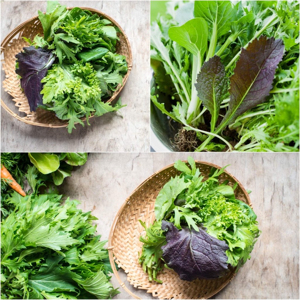 Chinese Oriental Mix seeds - Happy Valley Seeds