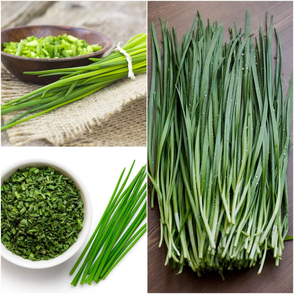 Chives seeds - Happy Valley Seeds