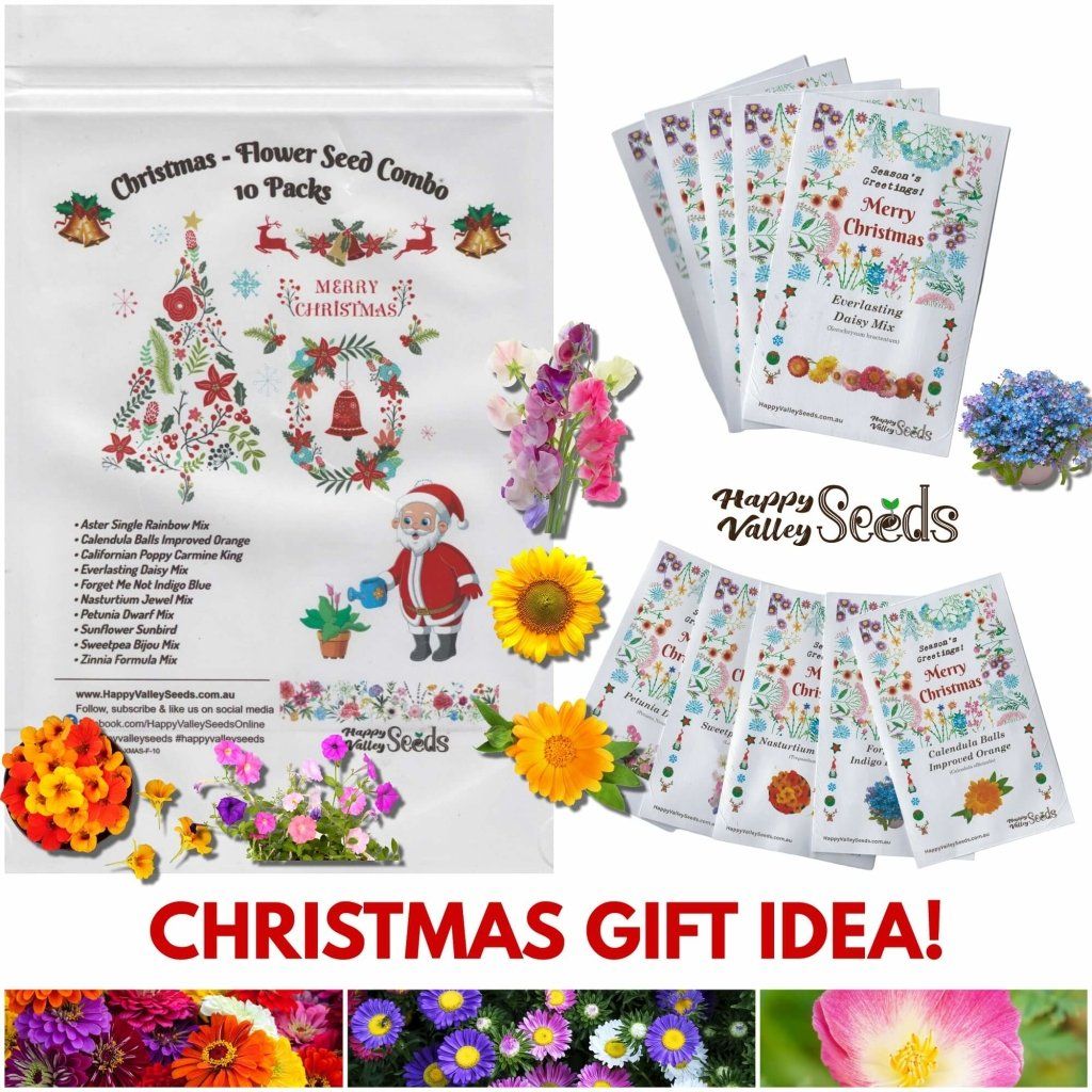 Christmas - Flower Seed Combo - Happy Valley Seeds