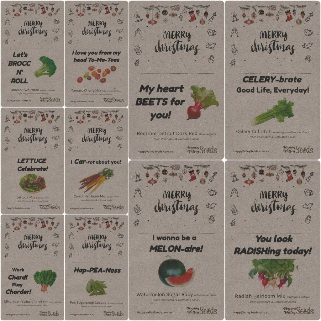 Christmas Fun - Seed Pack Combo - Happy Valley Seeds