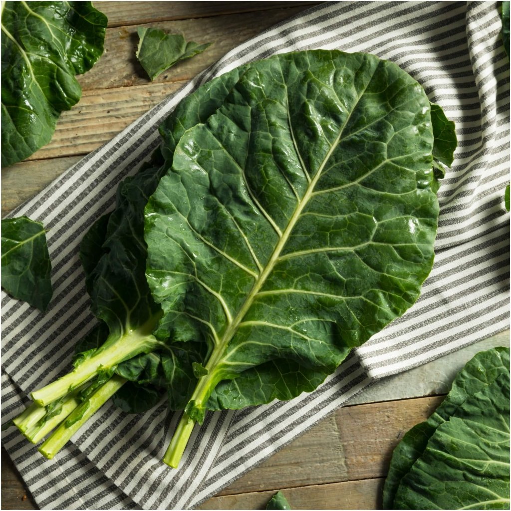 Collards - Champion seeds - Happy Valley Seeds