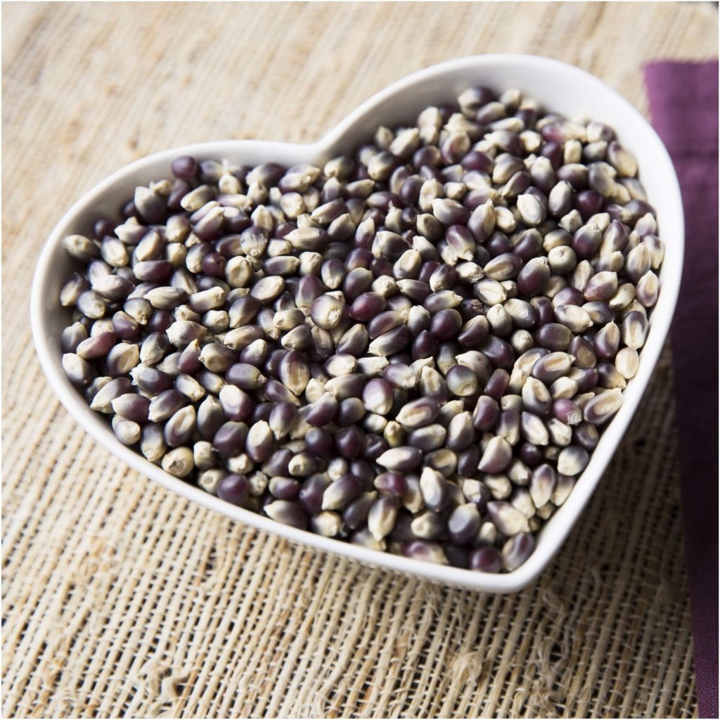 Corn - Hopi Blue seeds - Happy Valley Seeds