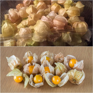 Cossack Pineapple seeds
