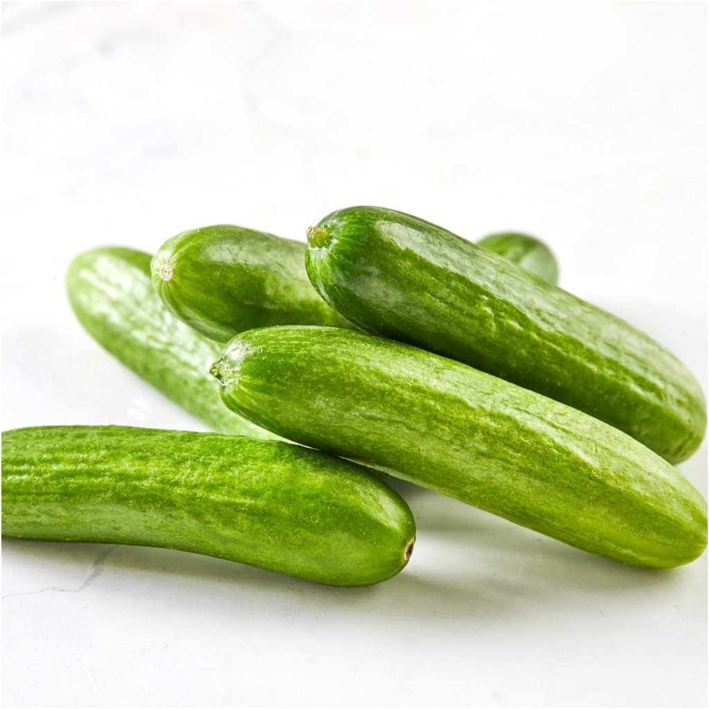 Cucumber - Baby Snack Poco F1 seeds - Happy Valley Seeds
