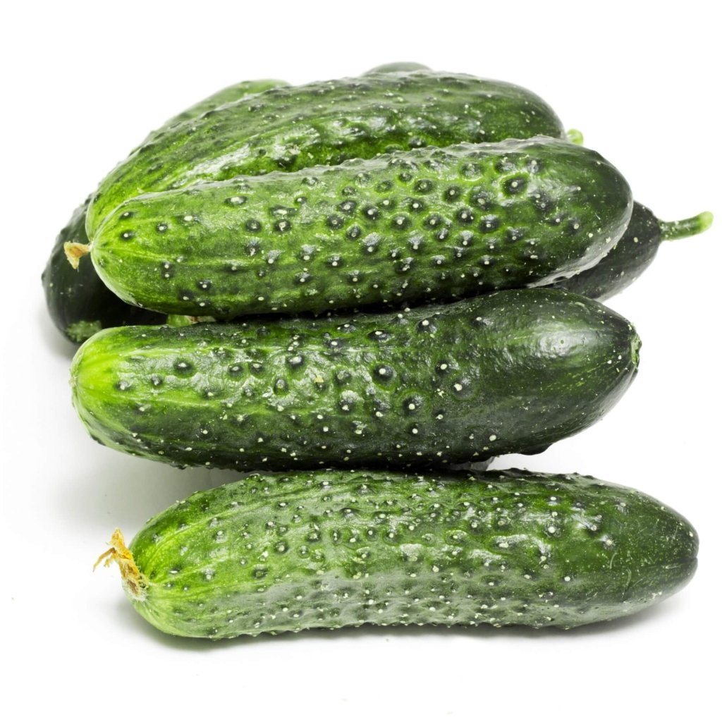Cucumber - Calypso F1 seeds - Happy Valley Seeds