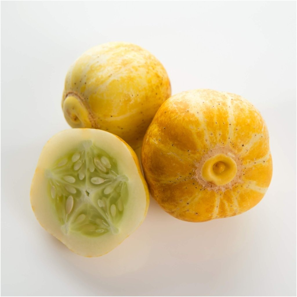 Cucumber - Lemon seeds - Happy Valley Seeds