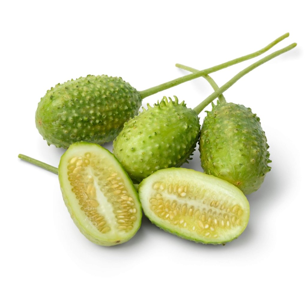 Cucumber - West Indian Gherkin seeds - Happy Valley Seeds