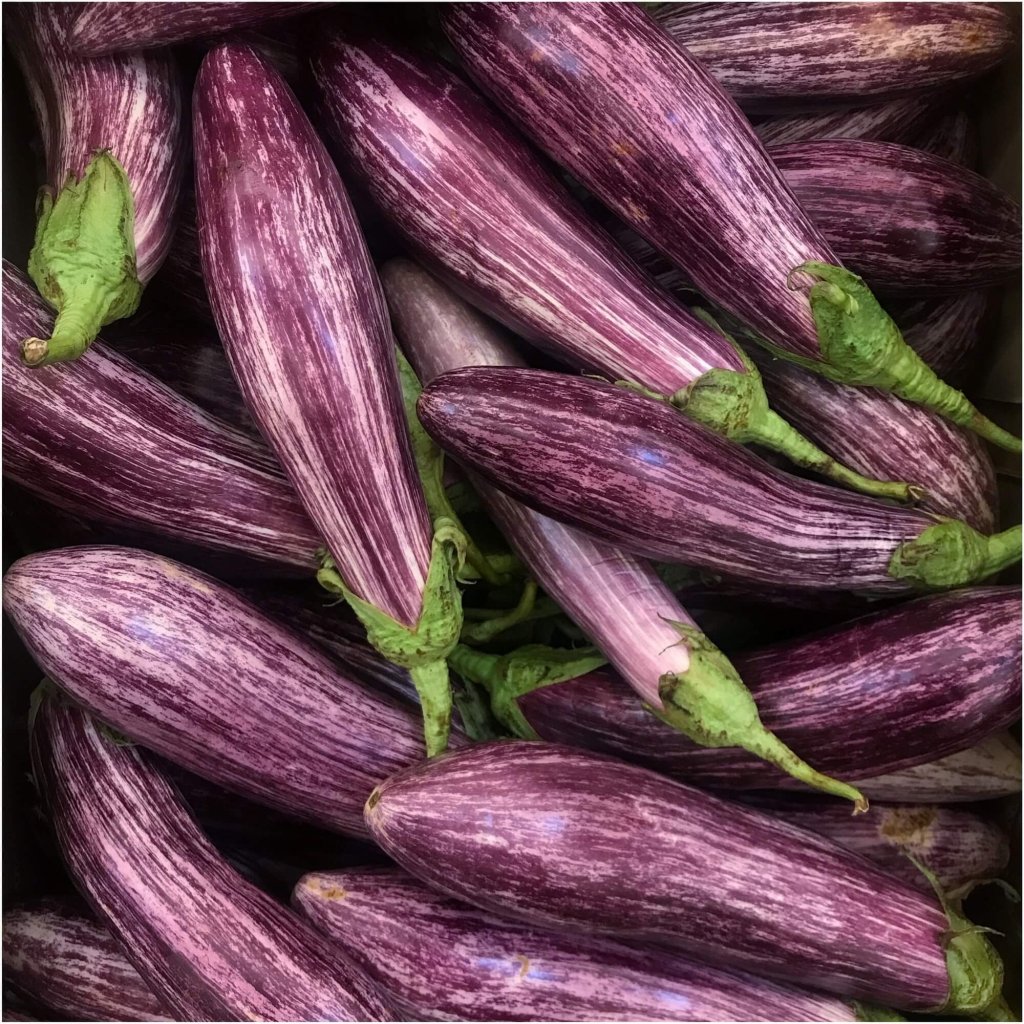 Eggplant - Amethyst seeds - Happy Valley Seeds