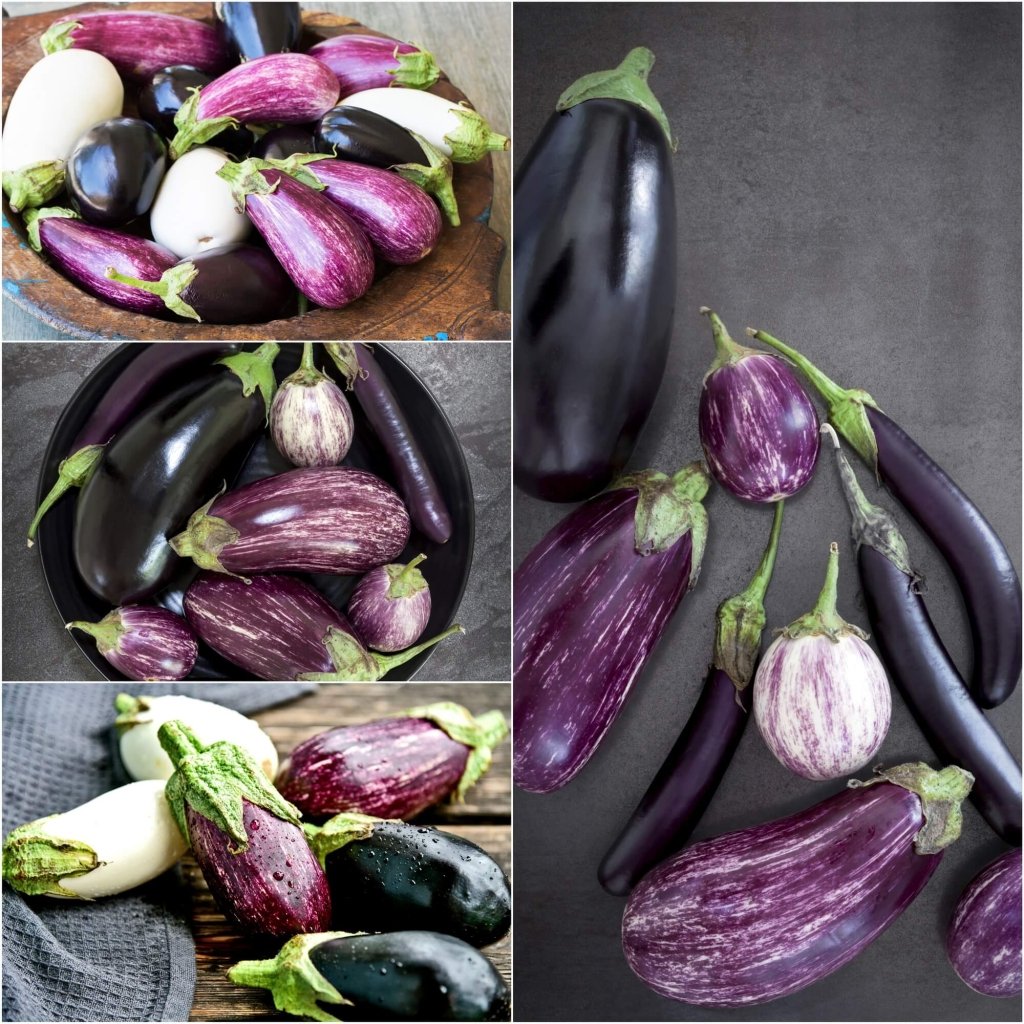 Eggplant - Heirloom Mix seeds - Happy Valley Seeds