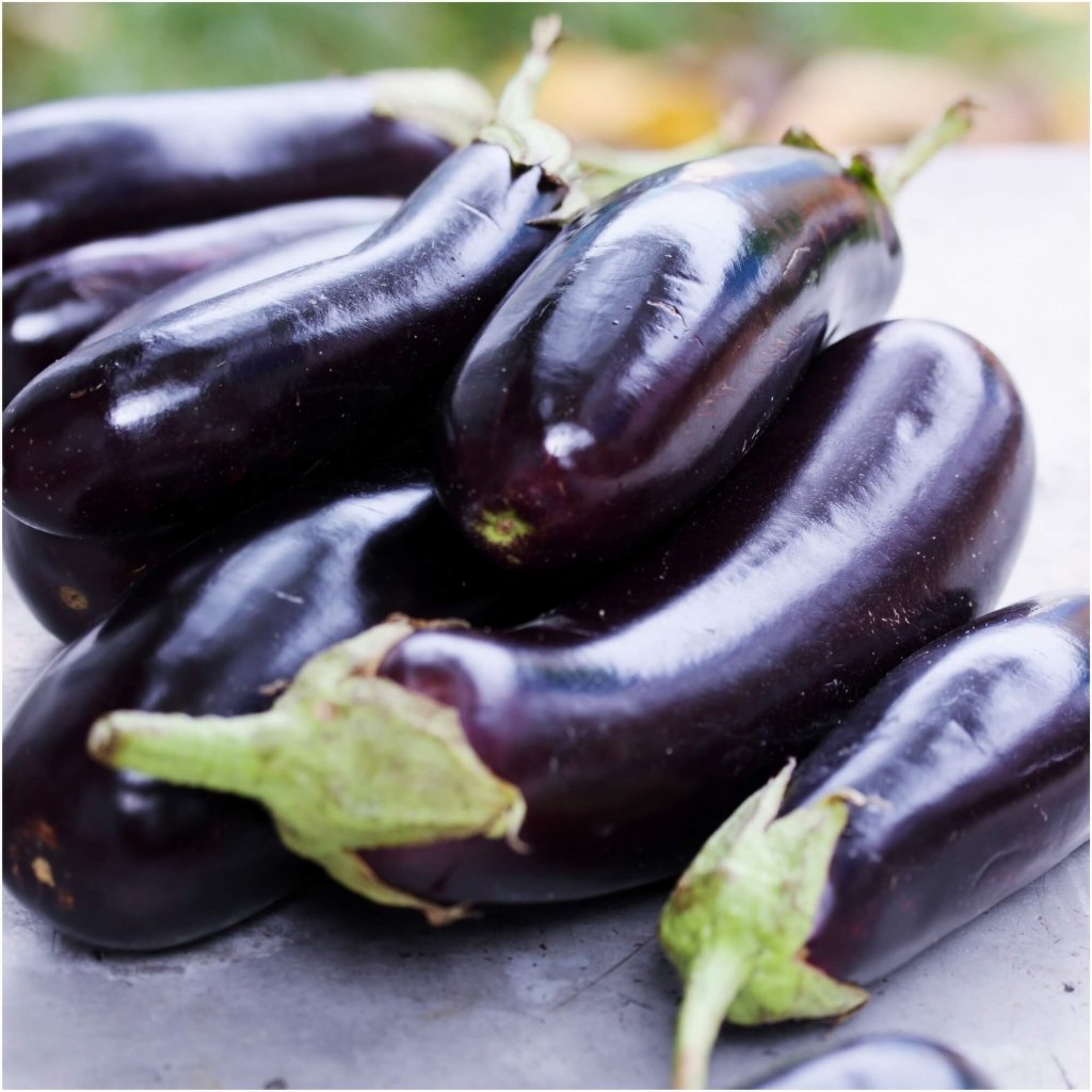 Eggplant - Midnight F1 (Lebanese) seeds - Happy Valley Seeds