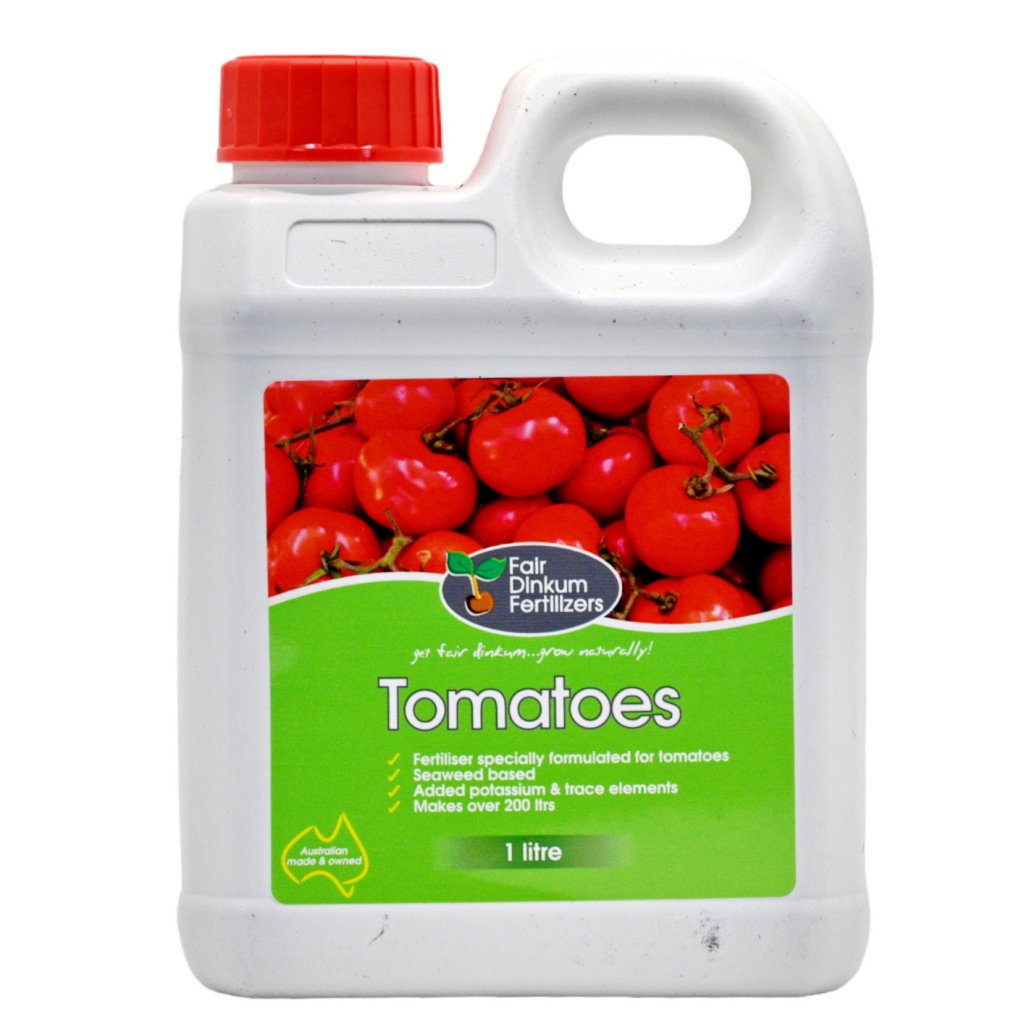 Fair Dinkum - Tomatoes 1 Litre - Happy Valley Seeds