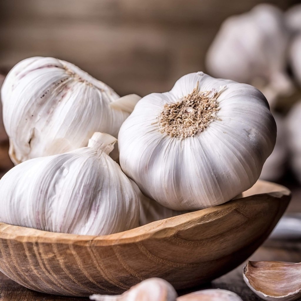 Garlic - Australian Red (2 Bulbs) - Happy Valley Seeds
