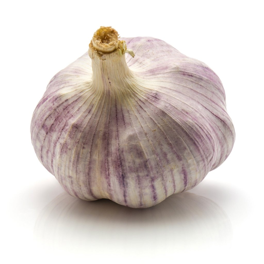 Garlic - Dunganski Purple Stripe (2 Bulbs) - Happy Valley Seeds