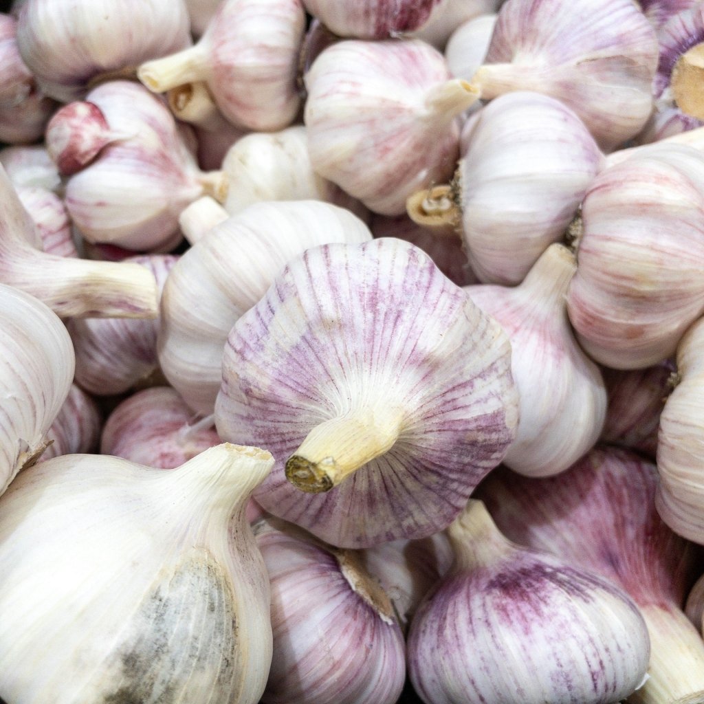 Garlic - Valiant Monaro (2 Bulbs) - Happy Valley Seeds
