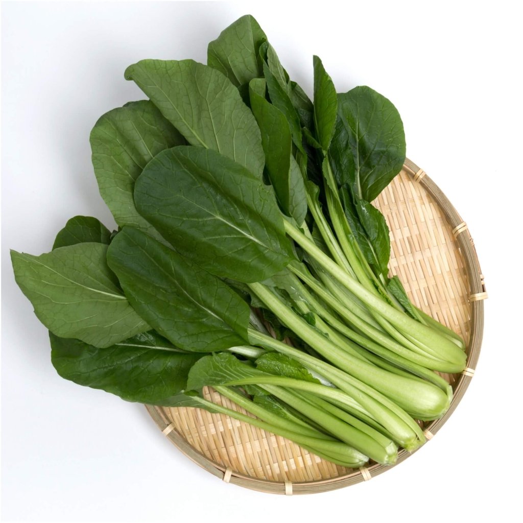 Komatsuna seeds - Happy Valley Seeds