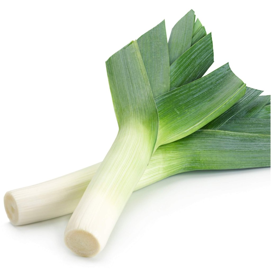 Leek - Elephant seeds - Happy Valley Seeds