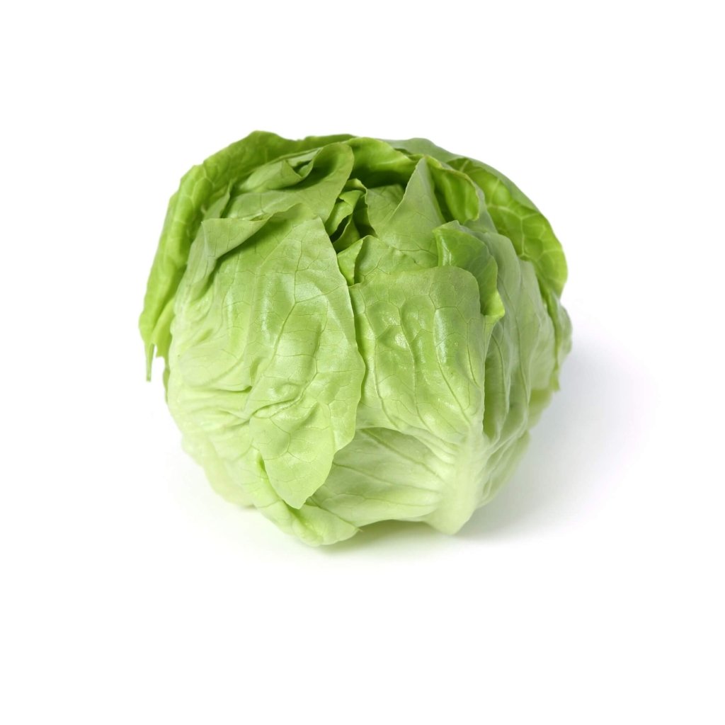 Lettuce - Mini Butterhead seeds - Happy Valley Seeds