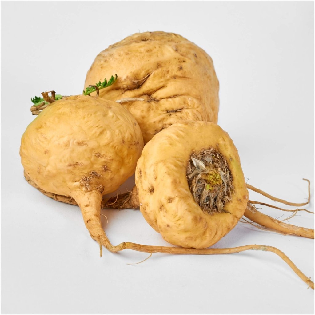 Maca (Peruvian Ginseng) seeds - Happy Valley Seeds