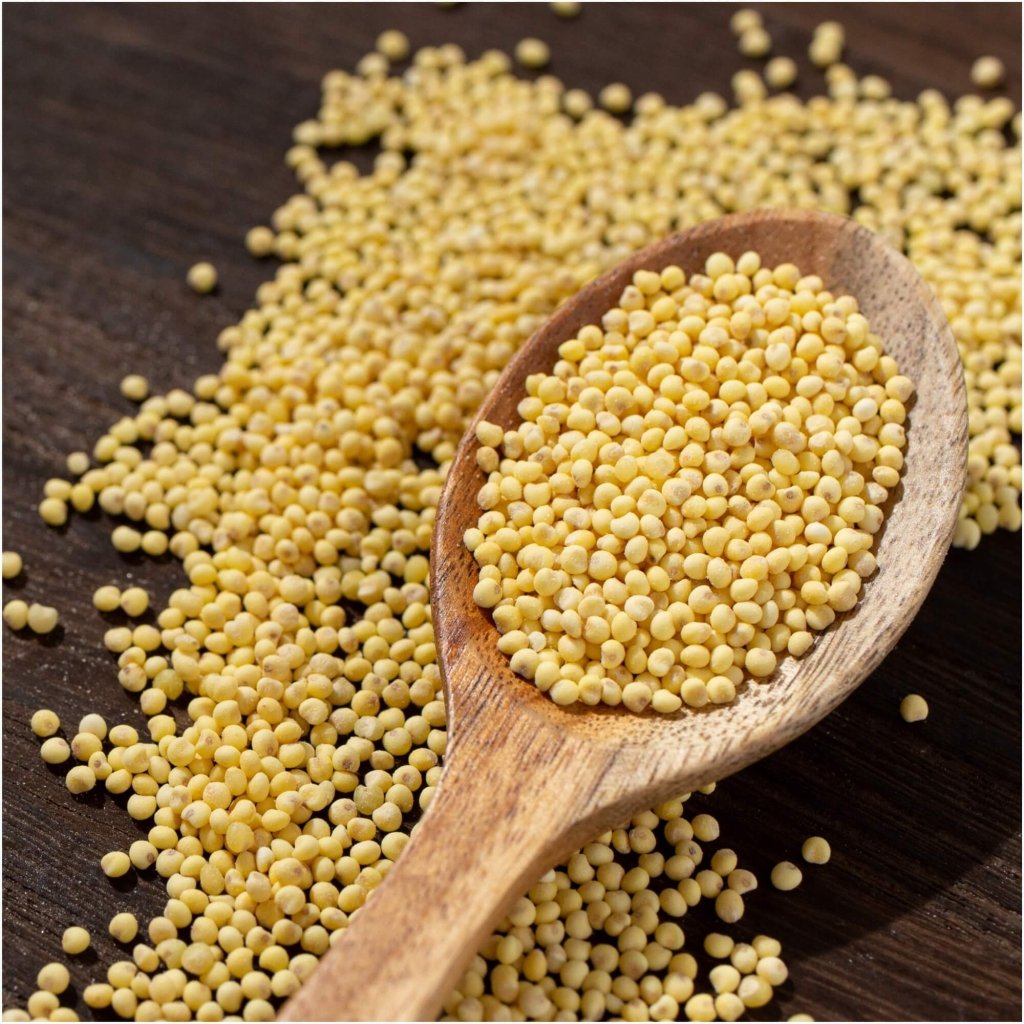 Millet seeds - Happy Valley Seeds