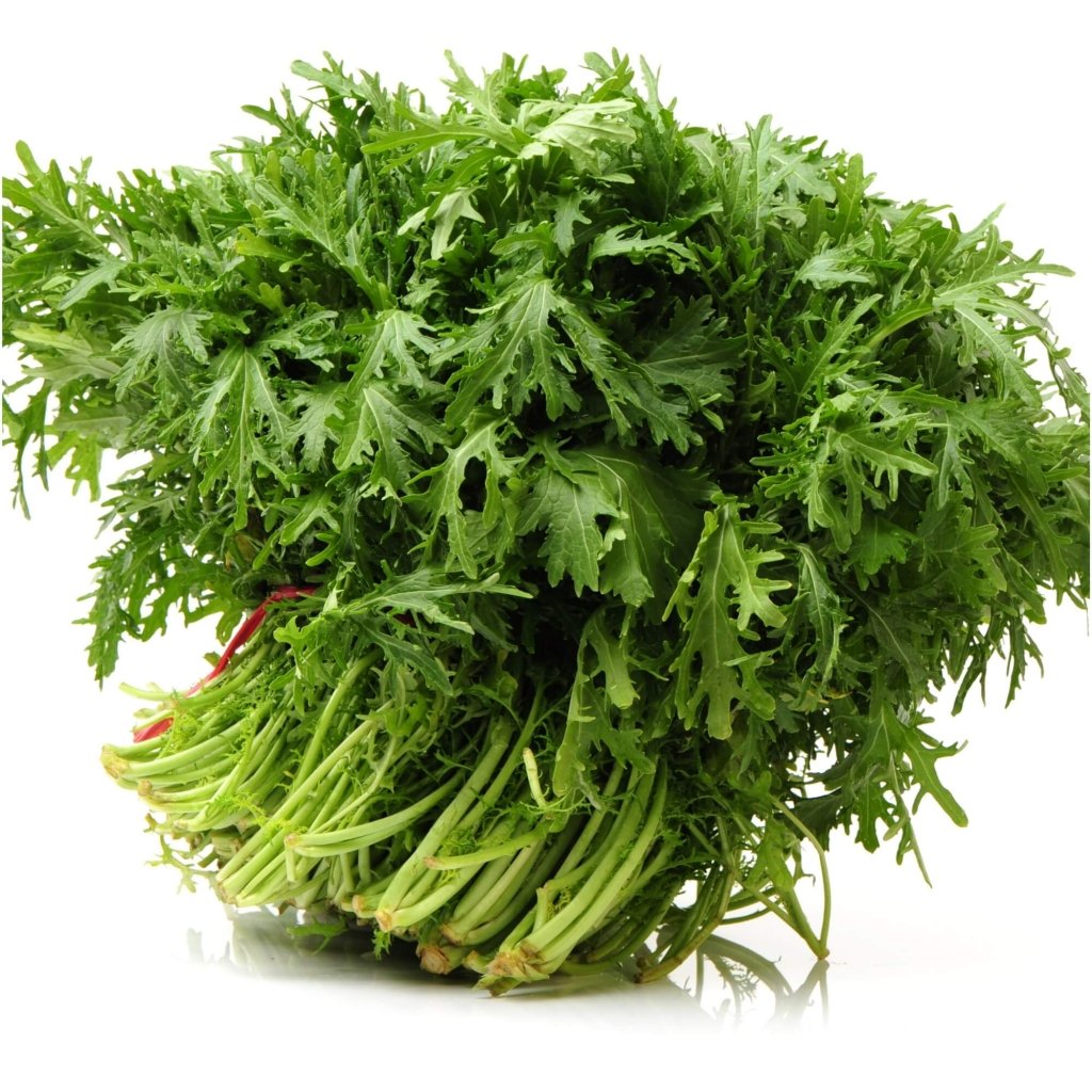 Mustard - Lime Streaks seeds - Happy Valley Seeds