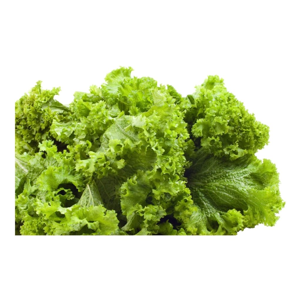 thumbnail image 2 of Axel's Garden Seeds - Southern Giant Curled Mustard Greens Seeds (Heirloom, Non-GMO) 2 of 3