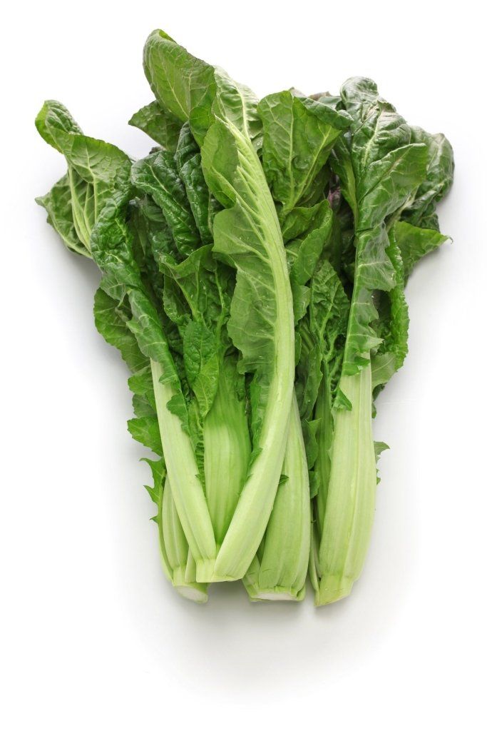 Mustard - Yanagawa Takana seeds - Happy Valley Seeds