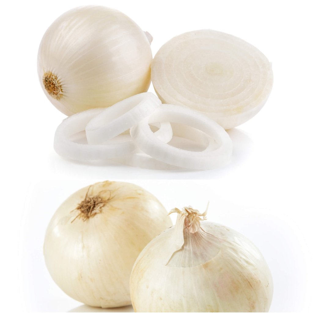 Onion - Gladalan White seeds - Happy Valley Seeds