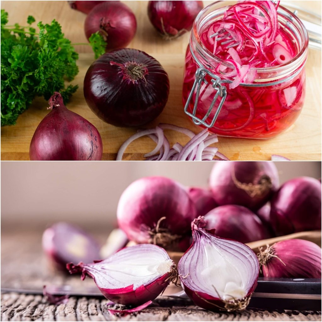 Onion - Red Rippa seeds - Happy Valley Seeds