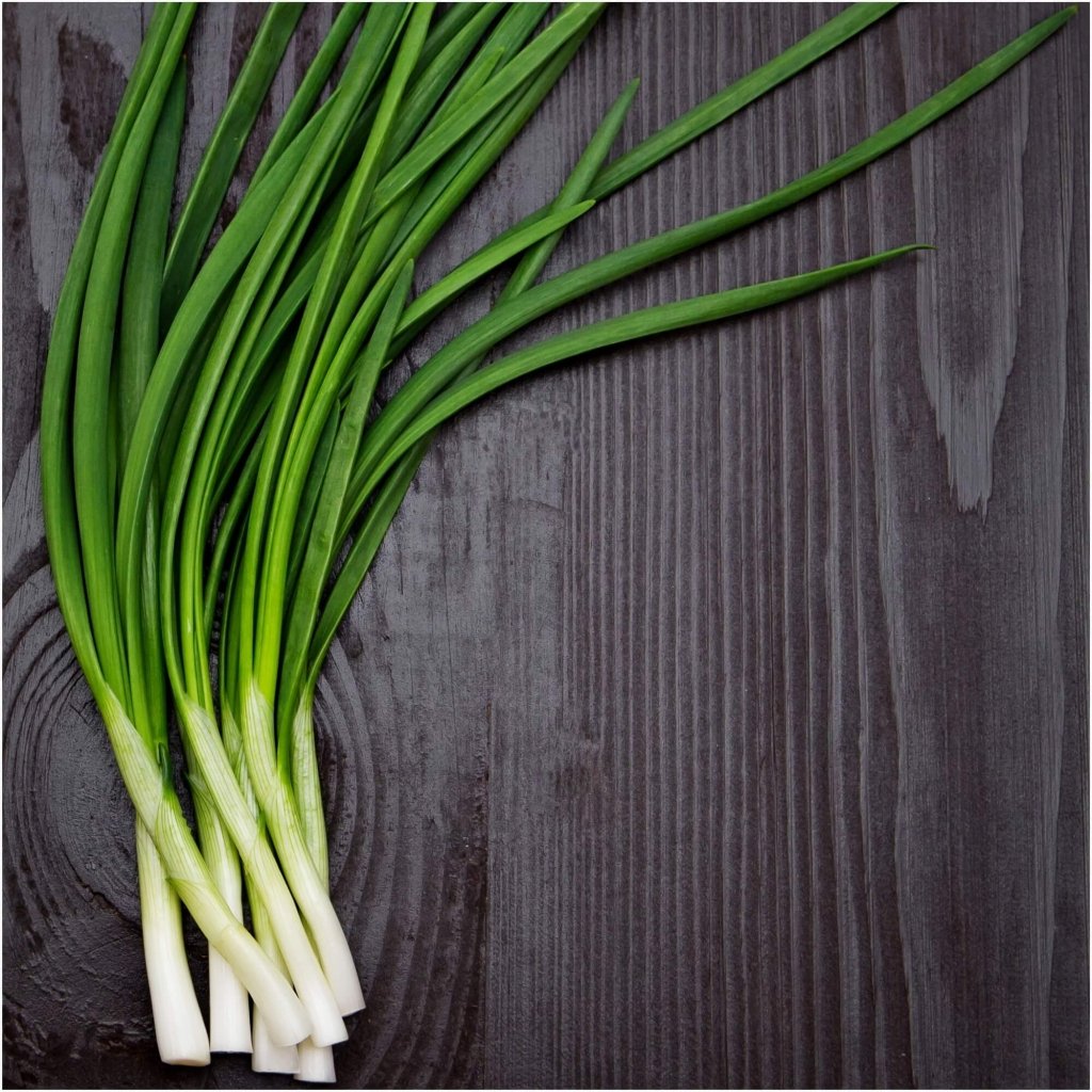 Onion (Spring) - Xandra F1 seeds - Happy Valley Seeds