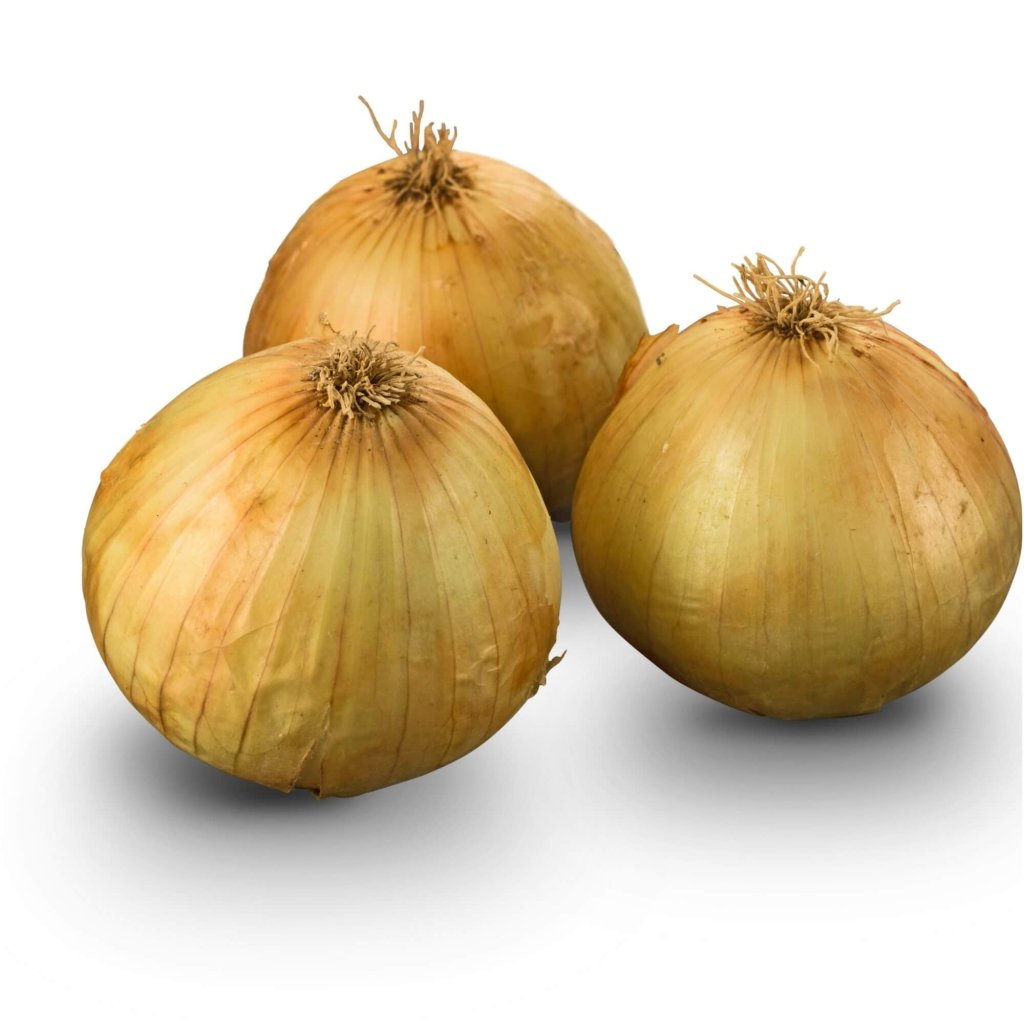 Onion - Texas Early Grano seeds - Happy Valley Seeds