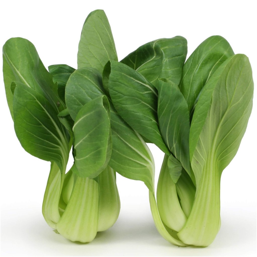Pak Choi - Green (Bok Choy) seeds - Happy Valley Seeds