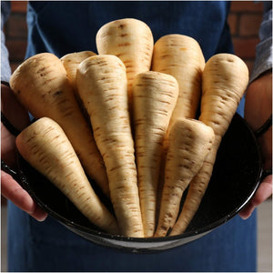 Parsnip - Hollow Crown seeds