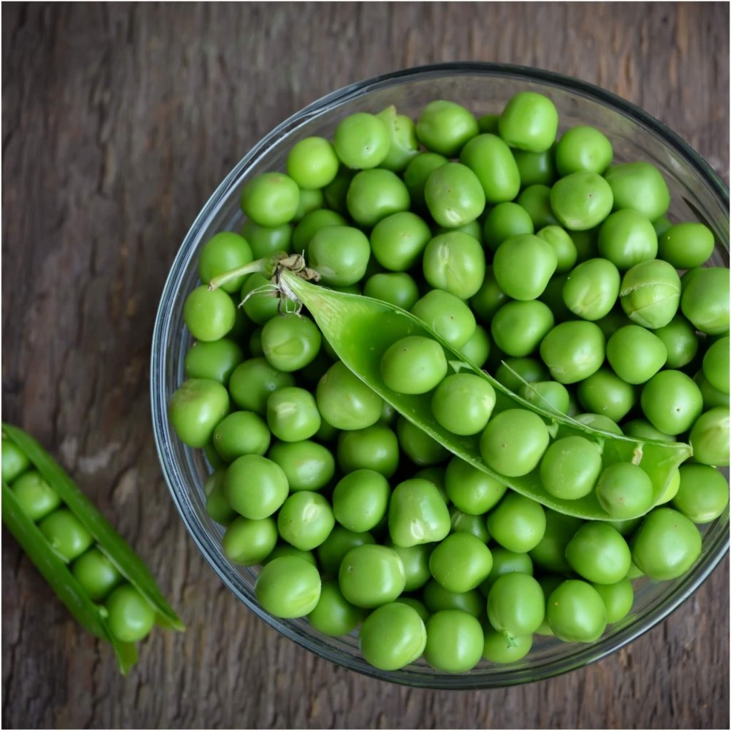 Pea (Shelling) - Massey Gem seeds - Happy Valley Seeds