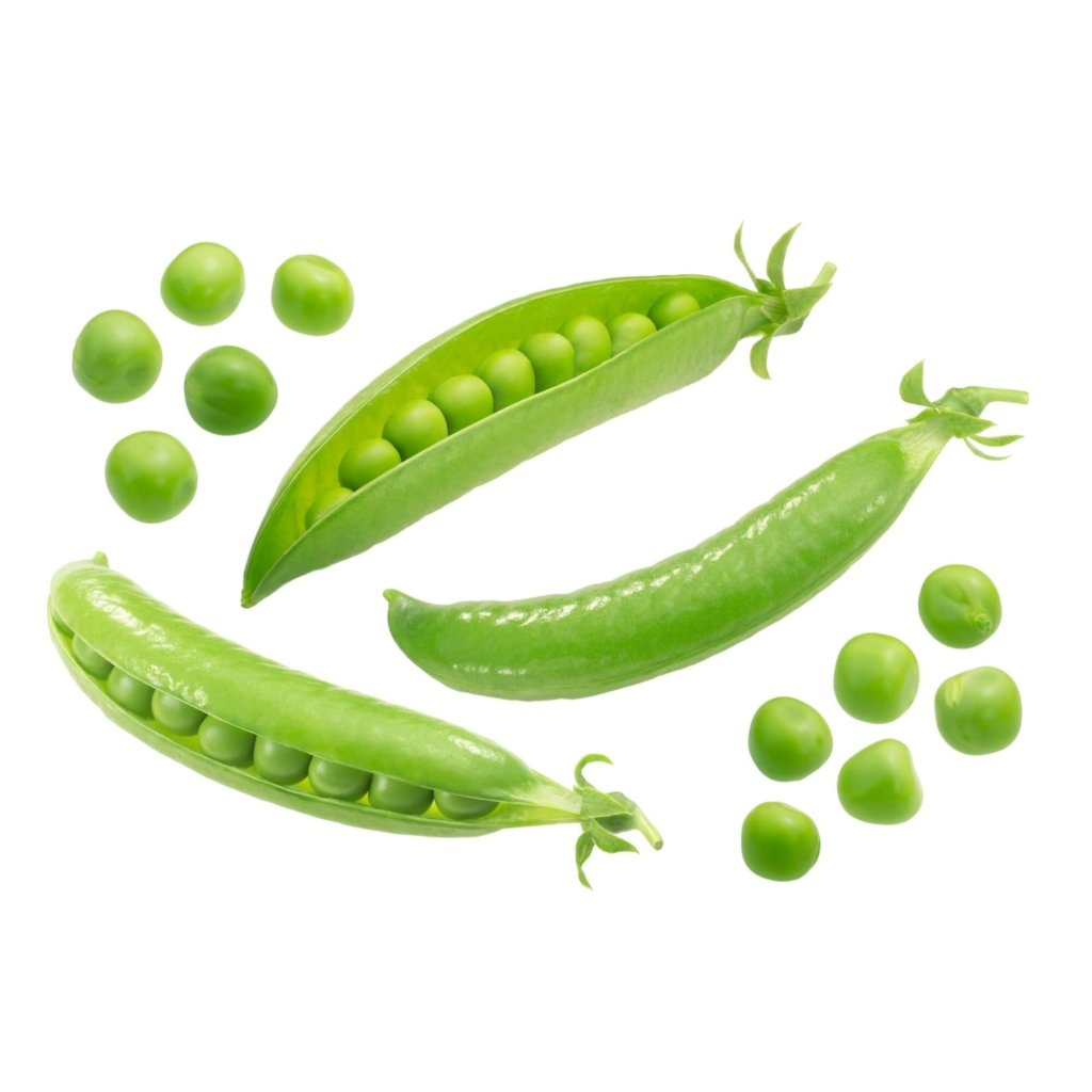 Pea (Shelling) - Novella Leafless seeds - Happy Valley Seeds