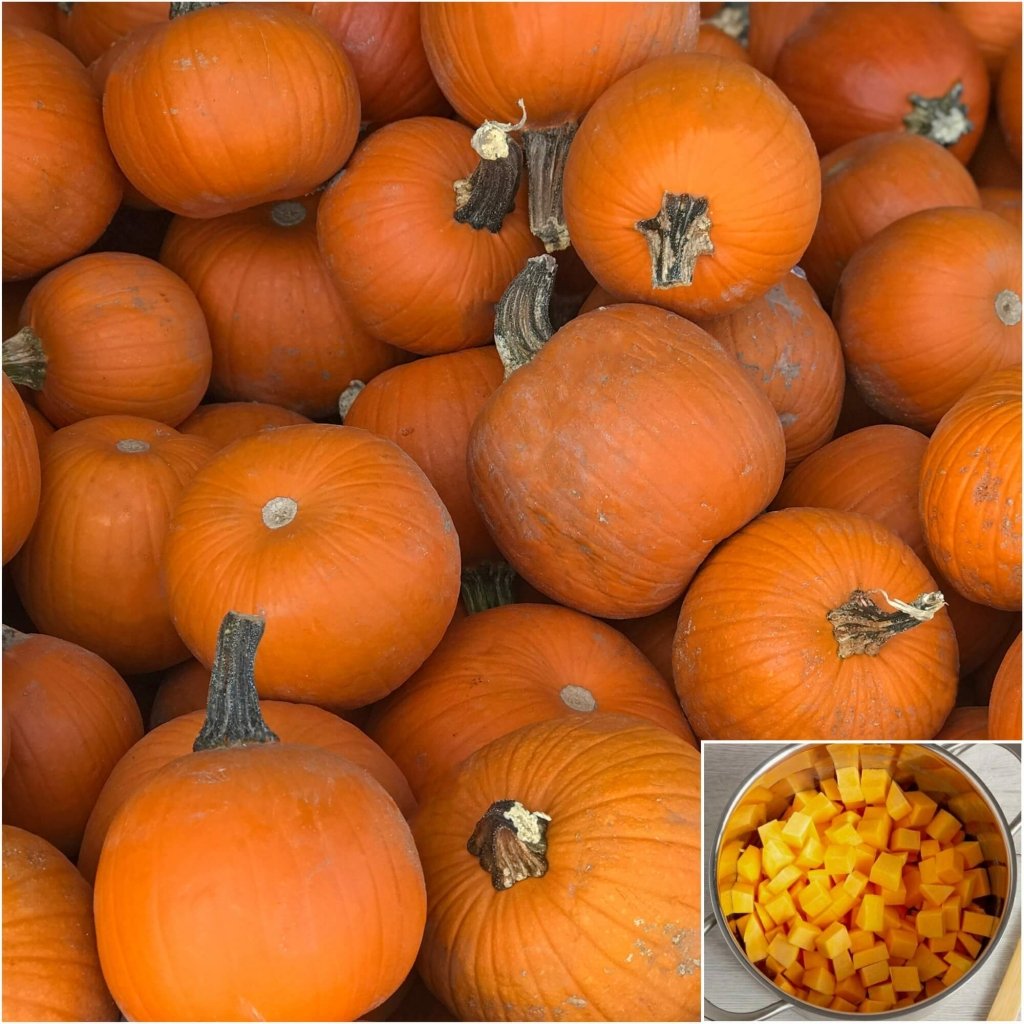 Pumpkin - Small Sugar seeds - Happy Valley Seeds