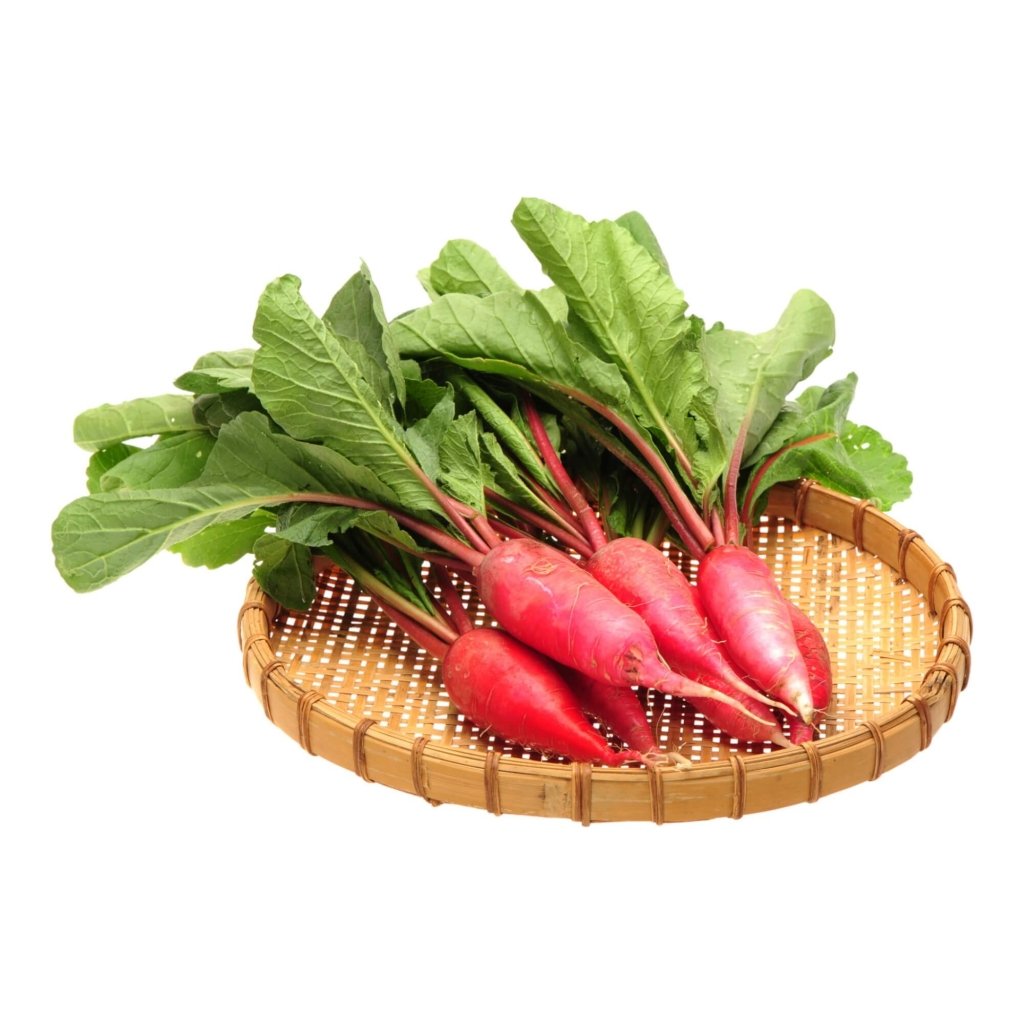 rose seeds from china Radish China Rose Seeds