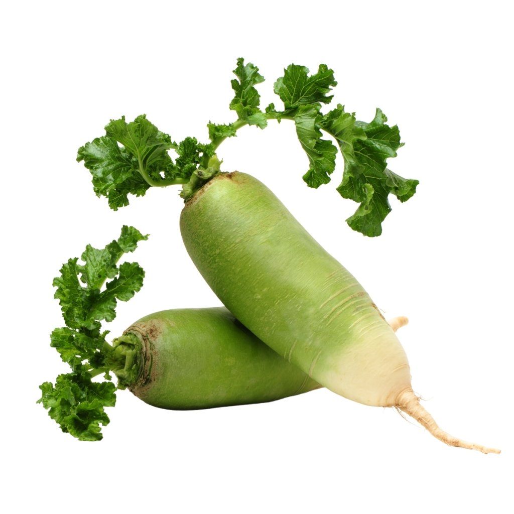 Green Radish Green Radish