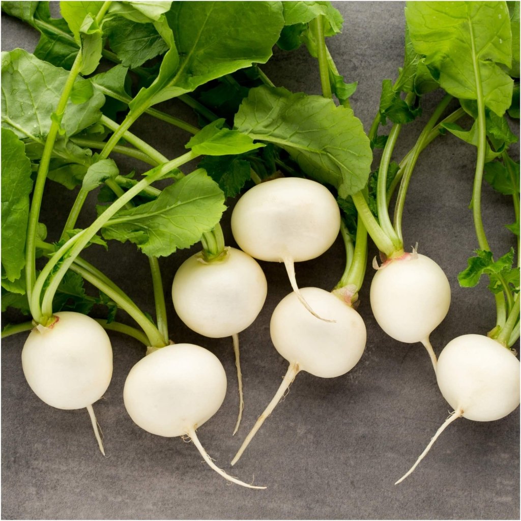 Radish - Hailstone seeds - Happy Valley Seeds